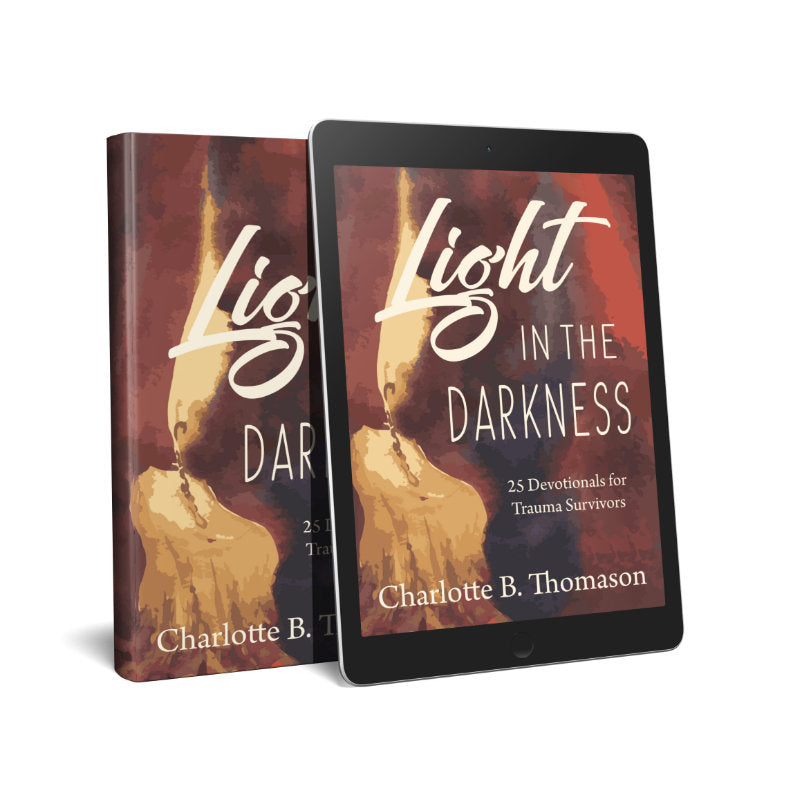 Light in the Darkness Devotional